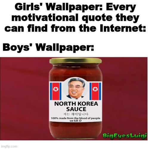 North Korea Sauce | Girls' Wallpaper: Every motivational quote they can find from the Internet:; Boys' Wallpaper: | image tagged in memes,boys vs girls,dank memes,wallpapers | made w/ Imgflip meme maker