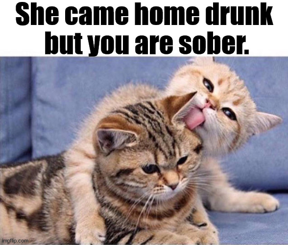 She came home drunk 
but you are sober. | image tagged in drunk | made w/ Imgflip meme maker