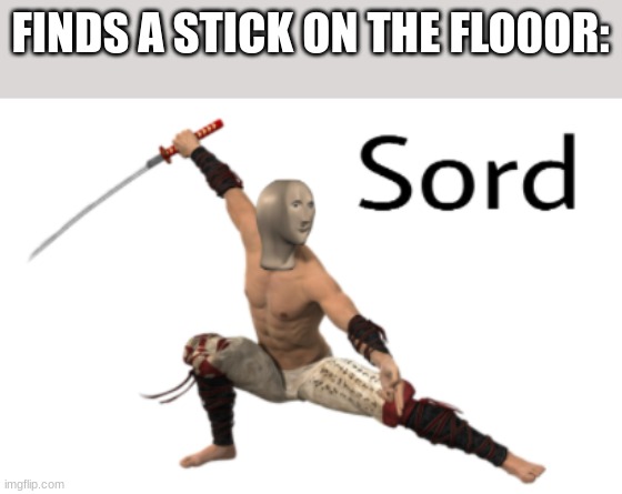 Meme Man Sword | FINDS A STICK ON THE FLO0OR: | image tagged in meme man sword | made w/ Imgflip meme maker