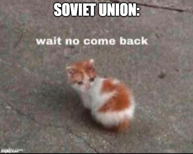 wait no come back | SOVIET UNION: | image tagged in wait no come back | made w/ Imgflip meme maker