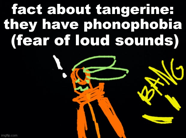 nOoOoOOOoOo D: (i also have phonophobia btw) | fact about tangerine: they have phonophobia; (fear of loud sounds) | image tagged in black background | made w/ Imgflip meme maker