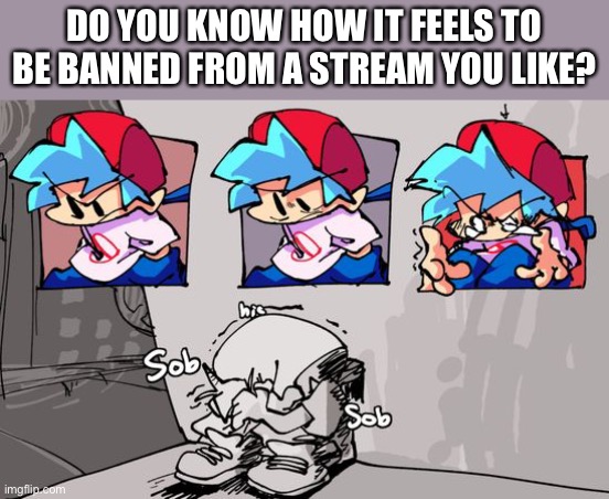 Sobbing Boyfriend | DO YOU KNOW HOW IT FEELS TO BE BANNED FROM A STREAM YOU LIKE? | image tagged in sobbing boyfriend | made w/ Imgflip meme maker