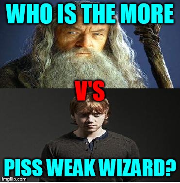 The Stoner V's The Ginger | WHO IS THE MORE PISS WEAK WIZARD? V'S | image tagged in wizard,ron weasely,gandalf | made w/ Imgflip meme maker