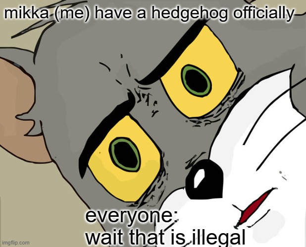 yes i have a hedgehog | mikka (me) have a hedgehog officially; everyone:
wait that is illegal | image tagged in memes,unsettled tom | made w/ Imgflip meme maker