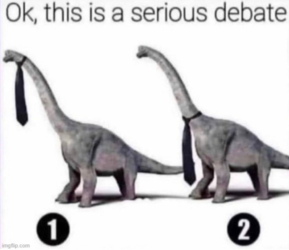 I say 2 looks more fashionable | made w/ Imgflip meme maker