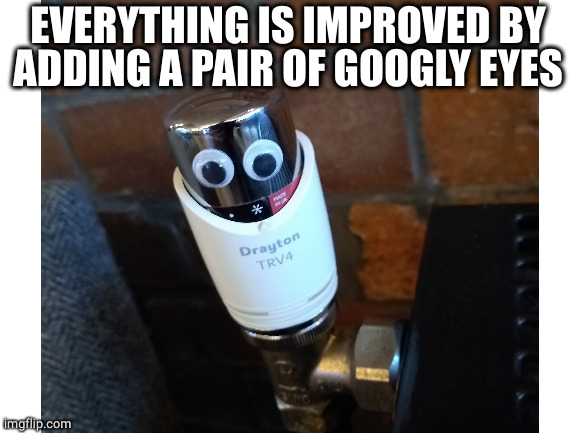 Everything is improved by adding a pair of googly eyes |  EVERYTHING IS IMPROVED BY ADDING A PAIR OF GOOGLY EYES | image tagged in crazy eyes | made w/ Imgflip meme maker