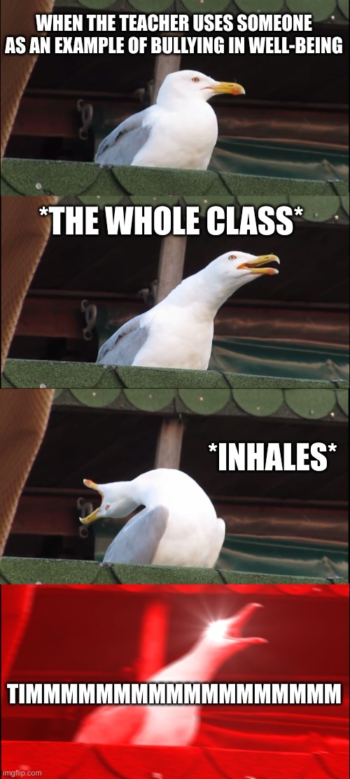 timmmmmmmmm | WHEN THE TEACHER USES SOMEONE AS AN EXAMPLE OF BULLYING IN WELL-BEING; *THE WHOLE CLASS*; *INHALES*; TIMMMMMMMMMMMMMMMMMM | image tagged in memes,inhaling seagull | made w/ Imgflip meme maker