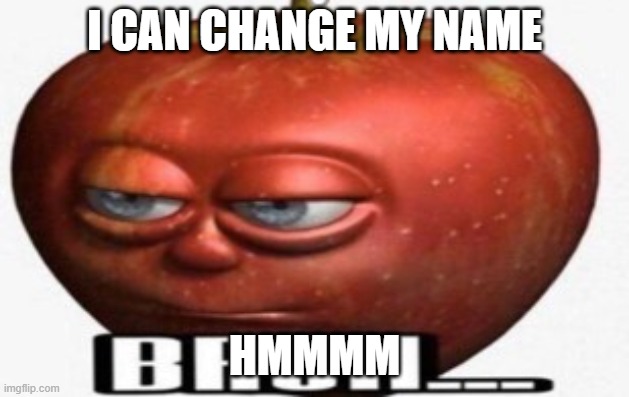 Bruh | I CAN CHANGE MY NAME; HMMMM | image tagged in bruh | made w/ Imgflip meme maker
