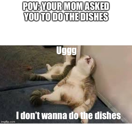 POV: YOUR MOM ASKED YOU TO DO THE DISHES; Uggg; I don’t wanna do the dishes | image tagged in blank white template | made w/ Imgflip meme maker