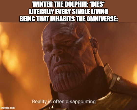 R.I.P winter | WINTER THE DOLPHIN: *DIES*
LITERALLY EVERY SINGLE LIVING BEING THAT INHABITS THE OMNIVERSE: | image tagged in reality is often dissapointing,dolphins | made w/ Imgflip meme maker