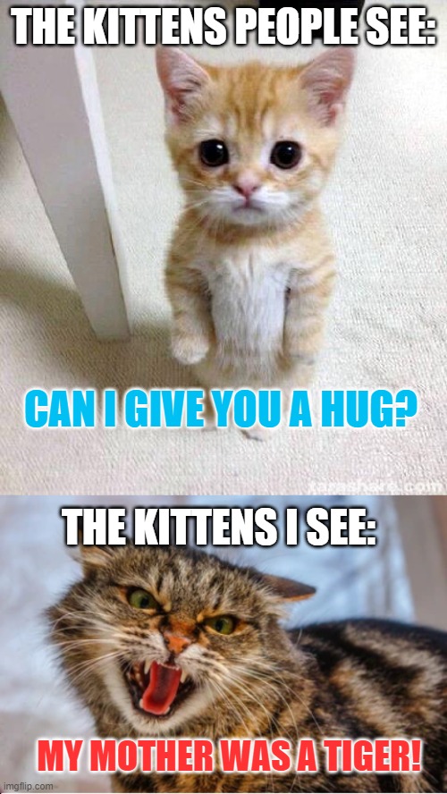 Those I see are even more violent than tigers! | THE KITTENS PEOPLE SEE:; CAN I GIVE YOU A HUG? THE KITTENS I SEE:; MY MOTHER WAS A TIGER! | image tagged in memes,cute cat,funny | made w/ Imgflip meme maker