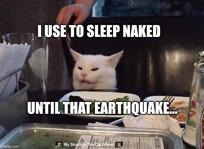 I USE TO SLEEP NAKED; UNTIL THAT EARTHQUAKE... | image tagged in smudge the cat | made w/ Imgflip meme maker