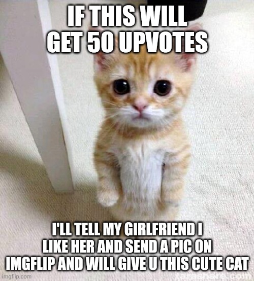 Cute Cat Meme | IF THIS WILL GET 50 UPVOTES; I'LL TELL MY GIRLFRIEND I LIKE HER AND SEND A PIC ON IMGFLIP AND WILL GIVE U THIS CUTE CAT | image tagged in memes,cute cat | made w/ Imgflip meme maker