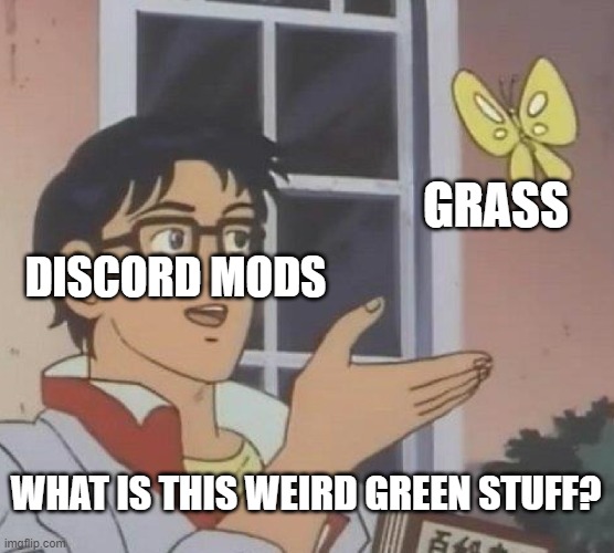it looks like a pigeon | GRASS; DISCORD MODS; WHAT IS THIS WEIRD GREEN STUFF? | image tagged in memes,is this a pigeon | made w/ Imgflip meme maker