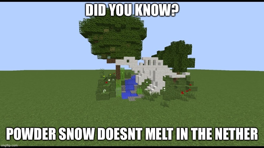 SOMEONE TELL DREAM THIS RIGHT NOW | DID YOU KNOW? POWDER SNOW DOESNT MELT IN THE NETHER | image tagged in minecraft | made w/ Imgflip meme maker