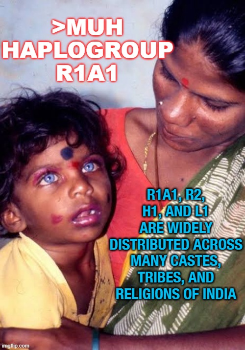 >muh haplogroup r1a1; R1a1, R2, H1, and L1 are widely distributed across many castes, tribes, and religions of India | >MUH HAPLOGROUP
R1A1; R1A1, R2, H1, AND L1 ARE WIDELY DISTRIBUTED ACROSS MANY CASTES, TRIBES, AND RELIGIONS OF INDIA | image tagged in muh haplogroup r1a1 | made w/ Imgflip meme maker