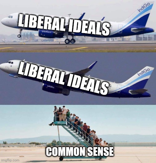 And ne'er the twain shall meet. | LIBERAL IDEALS; LIBERAL IDEALS; COMMON SENSE | image tagged in plane taking off with no passengers,memes,politics | made w/ Imgflip meme maker