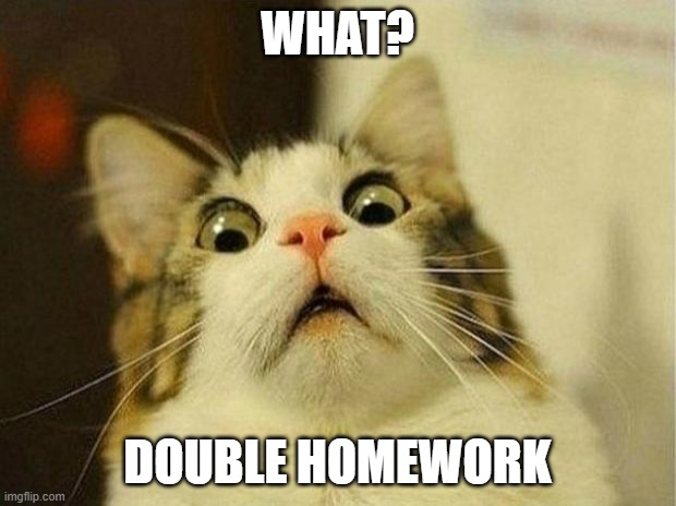 Double homework is more scarier than ghost | WHAT? DOUBLE HOMEWORK | image tagged in memes,scared cat | made w/ Imgflip meme maker