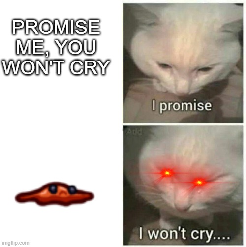 Das right, the SCP's are now in among us | PROMISE ME, YOU WON'T CRY | image tagged in i promise i won't cry,among us | made w/ Imgflip meme maker