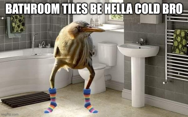 Daaaayum | BATHROOM TILES BE HELLA COLD BRO | image tagged in lol so funny,funny memes | made w/ Imgflip meme maker