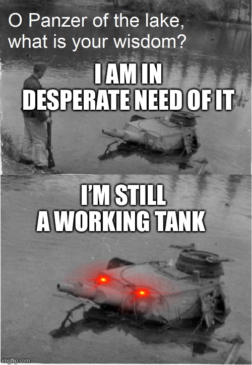 Hehehehe | I AM IN DESPERATE NEED OF IT; I’M STILL A WORKING TANK | image tagged in o panzer of the lake | made w/ Imgflip meme maker