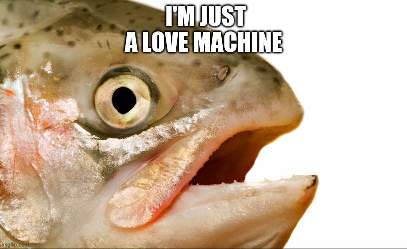 love machine | I'M JUST A LOVE MACHINE | image tagged in statement salmon | made w/ Imgflip meme maker