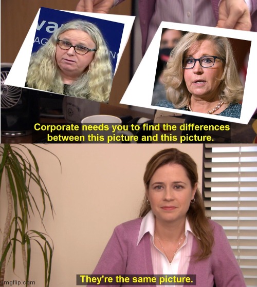 They're The Same Picture | image tagged in memes,they're the same picture | made w/ Imgflip meme maker