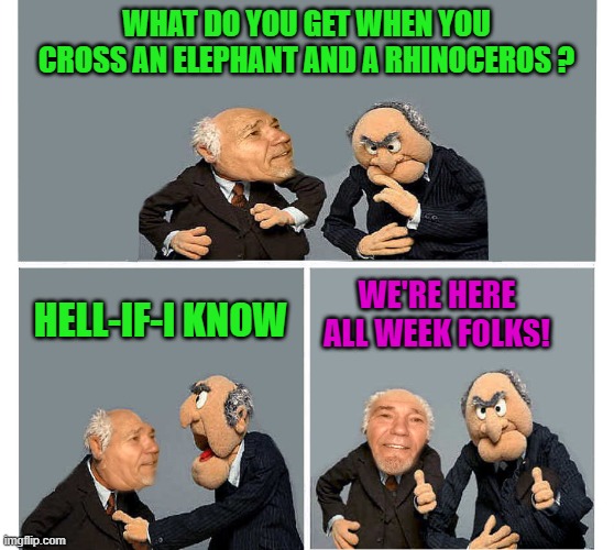 Lewdorf and Statler | WHAT DO YOU GET WHEN YOU CROSS AN ELEPHANT AND A RHINOCEROS ? HELL-IF-I KNOW; WE'RE HERE ALL WEEK FOLKS! | image tagged in old,joke | made w/ Imgflip meme maker
