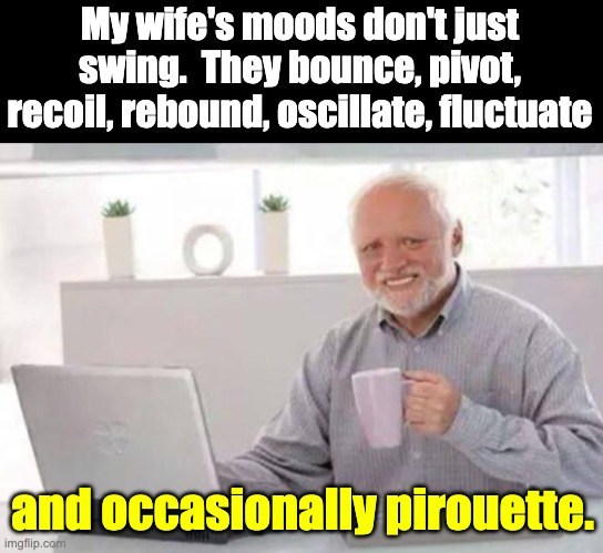 Mood | My wife's moods don't just swing.  They bounce, pivot, recoil, rebound, oscillate, fluctuate; and occasionally pirouette. | image tagged in harold | made w/ Imgflip meme maker