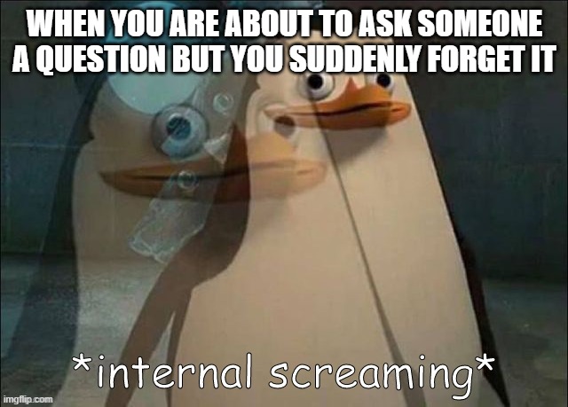 This has happened to me many times | WHEN YOU ARE ABOUT TO ASK SOMEONE A QUESTION BUT YOU SUDDENLY FORGET IT | image tagged in private internal screaming | made w/ Imgflip meme maker