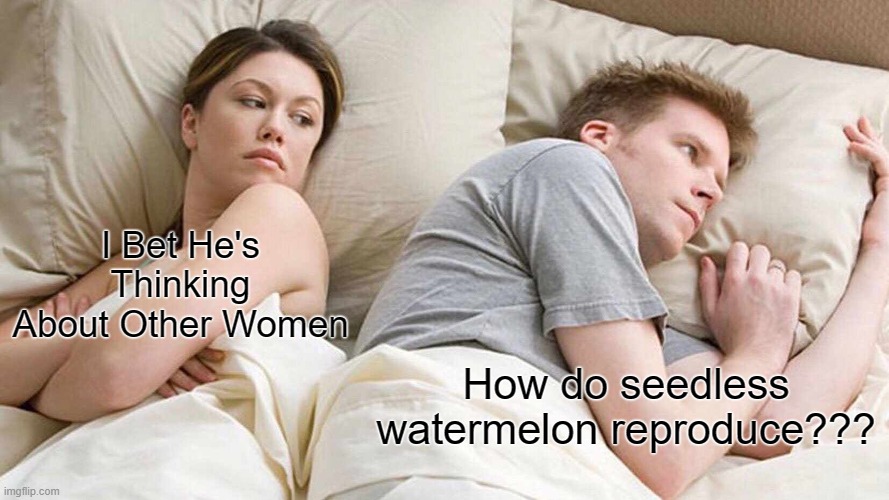 Have u ever wondered about it??? | I Bet He's Thinking About Other Women; How do seedless watermelon reproduce??? | image tagged in memes,i bet he's thinking about other women | made w/ Imgflip meme maker