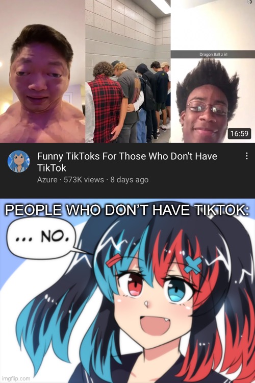 PEOPLE WHO DON’T HAVE TIKTOK: | image tagged in switch chan no,memes | made w/ Imgflip meme maker
