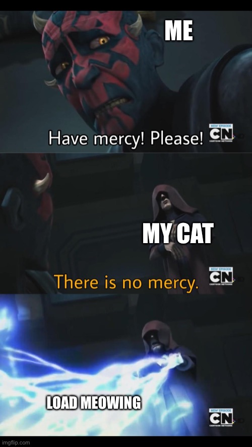 I do NOT remember the original creator | ME; MY CAT; LOAD MEOWING | image tagged in no mercy | made w/ Imgflip meme maker