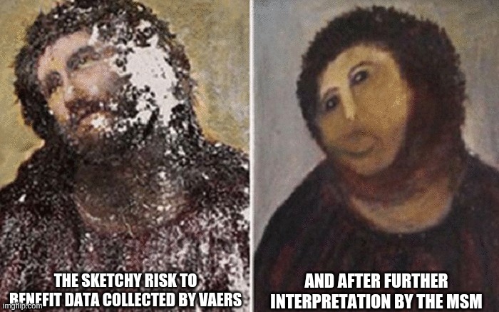 VAERS to MSM Monkey Jesus | AND AFTER FURTHER INTERPRETATION BY THE MSM; THE SKETCHY RISK TO BENEFIT DATA COLLECTED BY VAERS | image tagged in monkey jesus,vaers,msm | made w/ Imgflip meme maker