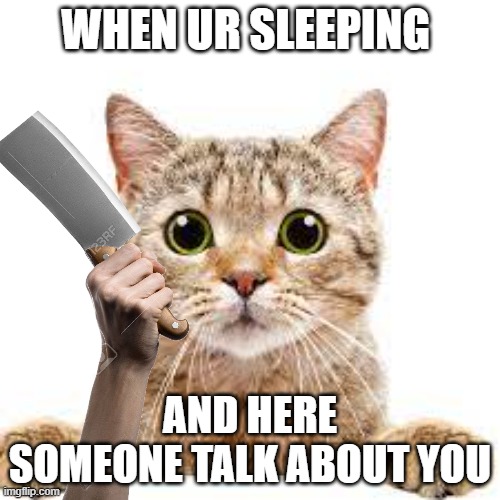 Cat Meme #1 | WHEN UR SLEEPING; AND HERE SOMEONE TALK ABOUT YOU | image tagged in scared cat | made w/ Imgflip meme maker