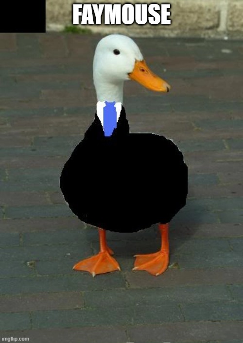 Business Goose | FAYMOUSE | image tagged in business goose | made w/ Imgflip meme maker