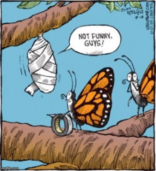 image tagged in comics/cartoons | made w/ Imgflip meme maker
