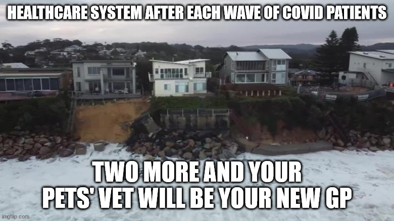 unvaccinated kill the health care system | HEALTHCARE SYSTEM AFTER EACH WAVE OF COVID PATIENTS; TWO MORE AND YOUR PETS' VET WILL BE YOUR NEW GP | image tagged in covid19,covid,funny,sad,fun,healthcare | made w/ Imgflip meme maker