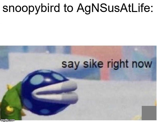 snoopybird to AgNSusAtLife: | image tagged in say sike right now | made w/ Imgflip meme maker