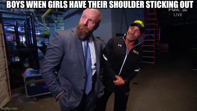 Triple H & Shawn Michaels Looking | BOYS WHEN GIRLS HAVE THEIR SHOULDER STICKING OUT | image tagged in triple h shawn michaels looking | made w/ Imgflip meme maker