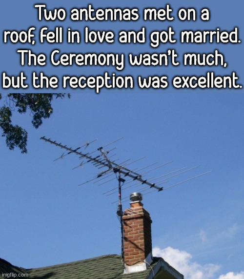 Antenna | Two antennas met on a roof, fell in love and got married. The Ceremony wasn’t much, but the reception was excellent. | image tagged in antenna,eyeroll | made w/ Imgflip meme maker