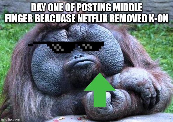 I will censor it | DAY ONE OF POSTING MIDDLE FINGER BEACUASE NETFLIX REMOVED K-ON | image tagged in fat orangutan with middle finger | made w/ Imgflip meme maker