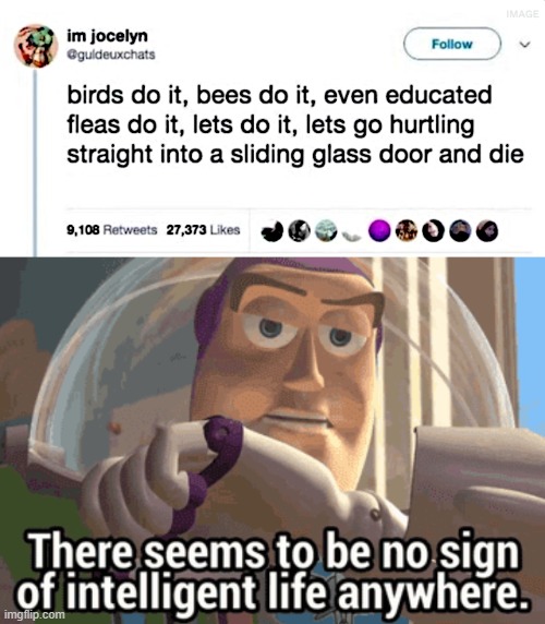 XD | image tagged in birds,bees,yeah this is big brain time,but wait,there seems to be no sign of intelligent life anywhere | made w/ Imgflip meme maker