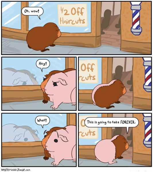 It would never end at 1/2 off. | ......... | image tagged in comics/cartoons | made w/ Imgflip meme maker