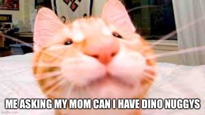 Dino nuggys are gooooood | ME ASKING MY MOM CAN I HAVE DINO NUGGYS | image tagged in sniff | made w/ Imgflip meme maker