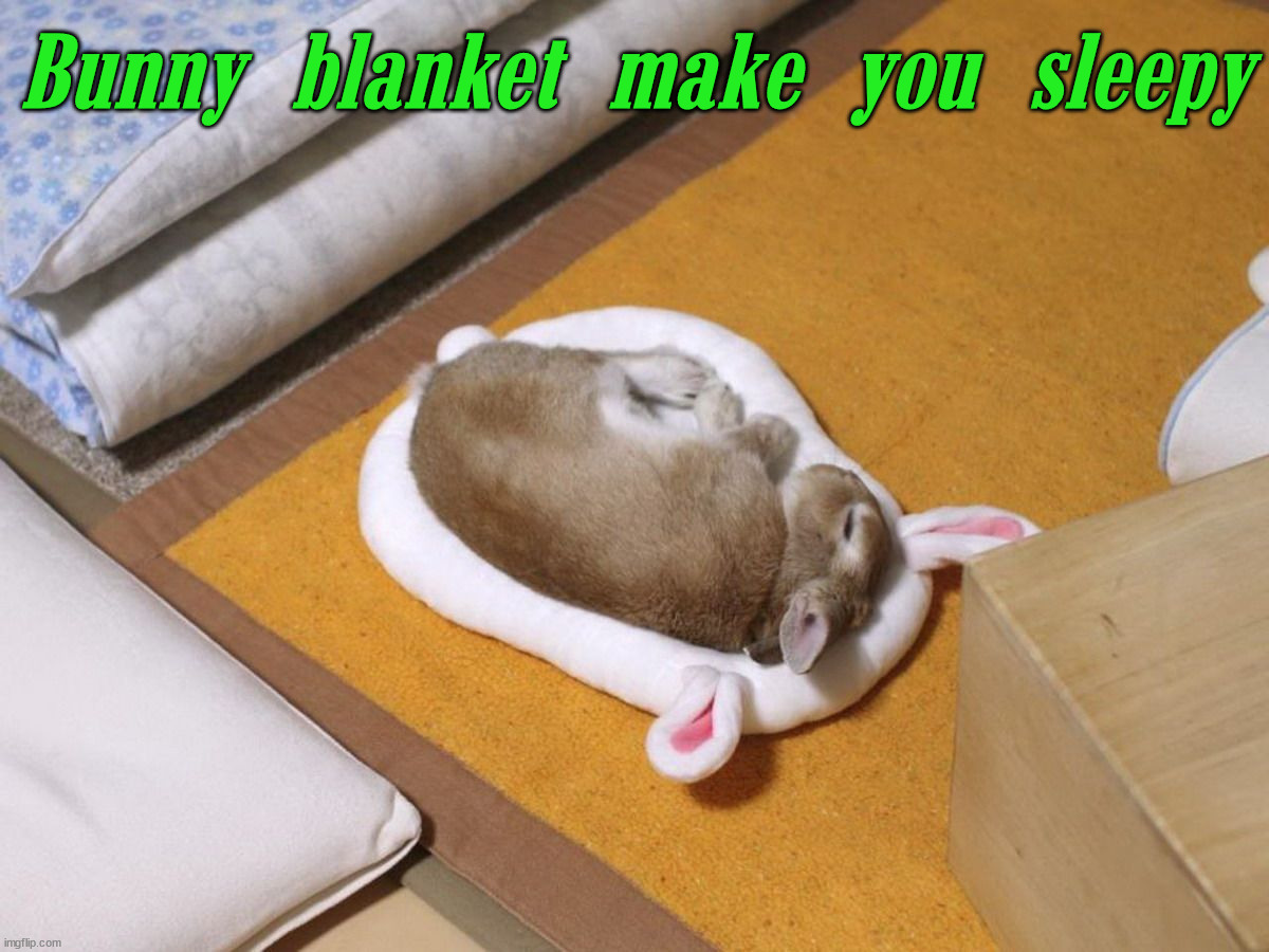 Bunny blanket make you sleepy | image tagged in bunnies | made w/ Imgflip meme maker