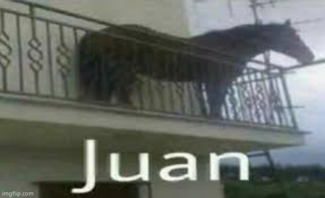 JUAN | image tagged in juan | made w/ Imgflip meme maker