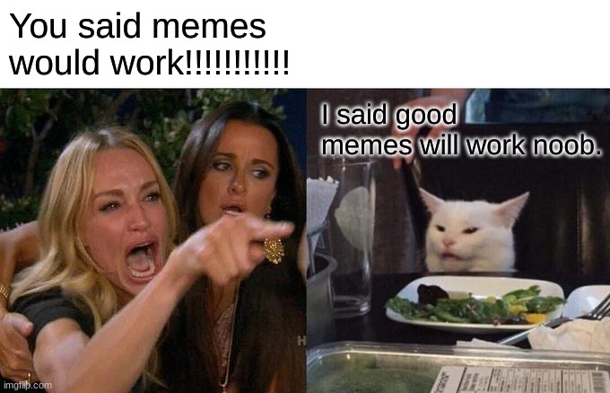 Woman Yelling At Cat | You said memes would work!!!!!!!!!!! I said good memes will work noob. | image tagged in memes,woman yelling at cat,good memes | made w/ Imgflip meme maker