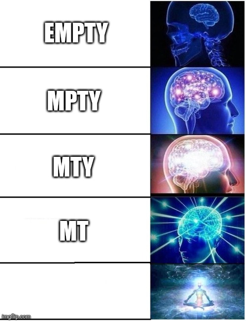 Expanding Brain 5 Panel | EMPTY; MPTY; MTY; MT | image tagged in expanding brain 5 panel | made w/ Imgflip meme maker