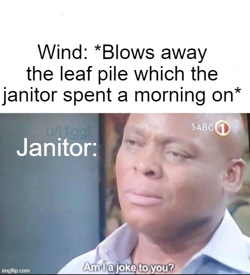 leaf blowing but by wind | Wind: *Blows away the leaf pile which the janitor spent a morning on*; Janitor: | image tagged in am i a joke to you,memes | made w/ Imgflip meme maker